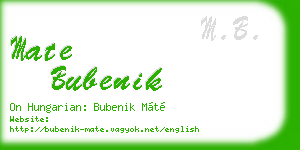 mate bubenik business card