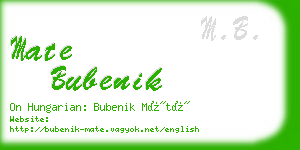 mate bubenik business card